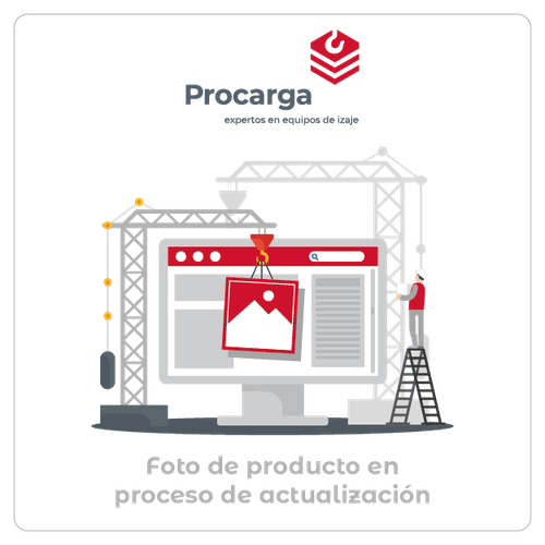 Polipasto eléctrico KINGPRO con trole eléctrico.