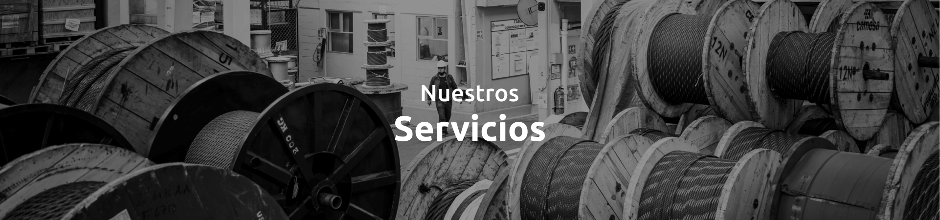 Nuestros Servicios
