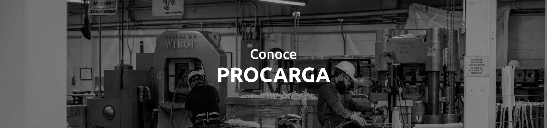 Conoce Procarga